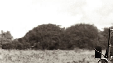 中国广告人网站―中国专业广告创意及营销策划