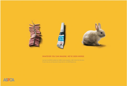 美国防止动物虐待协会公益广告---创意策划--平