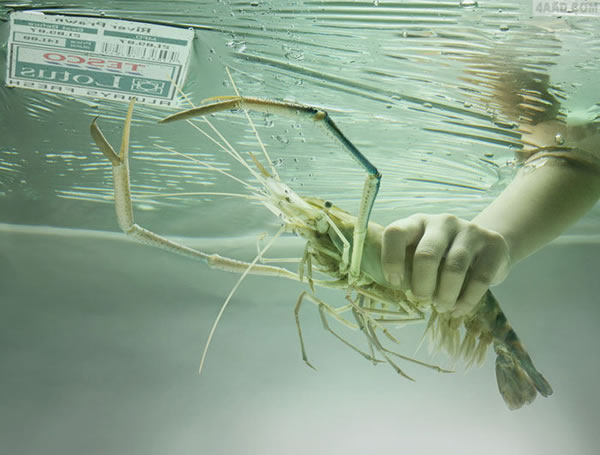 tesco lotus乐购超市广告:海鲜篇---创意策划--平